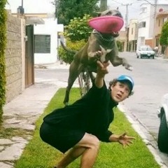 Erick (MasproAnimal)