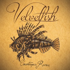 Velvetfish