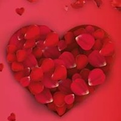 youssef