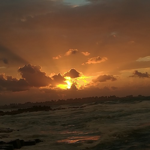 🌼⁦⁦♥️⁩