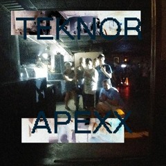 TEKNOR APEXX