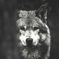 Sally Face full Soundtrack