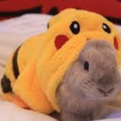 PikaBuuhoo