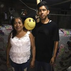 david