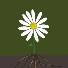 publishing BitByteBit