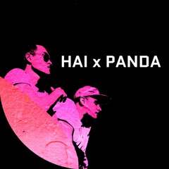 HAI x PANDA