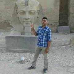 Aly El alaam