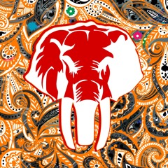 Mark Robert Anderson