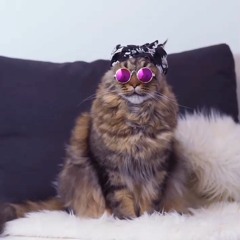 Gonçalo Moura Ferreira