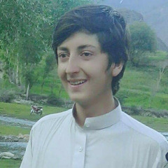 Muhammad Hanif