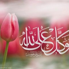 Alaa saifan