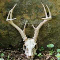 Gsand Remix playlist