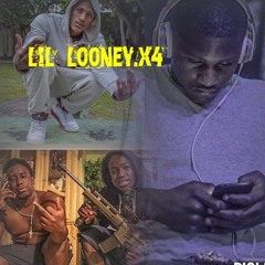 lil_looney.x4