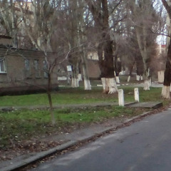 Весёлый пёс