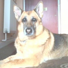 Sir Eggbert Fartalot