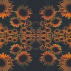 Blast Radius vs Paul venkman - Dreams (Trafford remix)