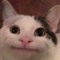 User 352731277
