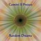Gemini II Progject