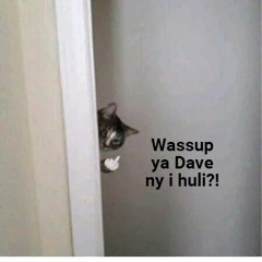 Wassup I'm Dave