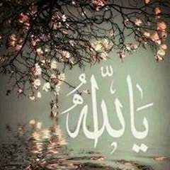 Abd elaziz