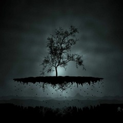 Sander Q