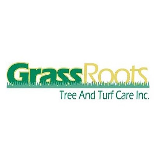 Grassroots Turf Franchise S Stream
