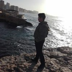 Hassan Tamer