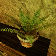 charlestheplant