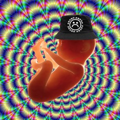 Feto$uicida