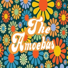 TheAmoebas