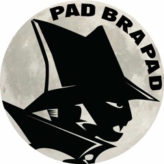 Pad Brapad