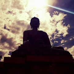 y86lhamo