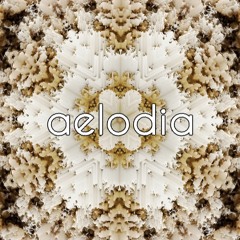 Aelodia