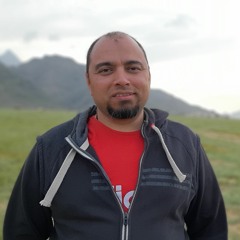 Mohamed Shawkat 2