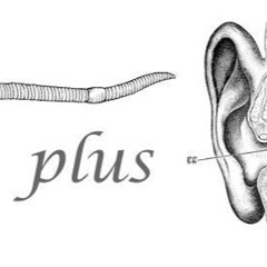 EARWÜRM