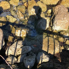 UnrealisticBeing