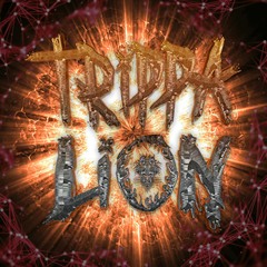 Trippa Lion