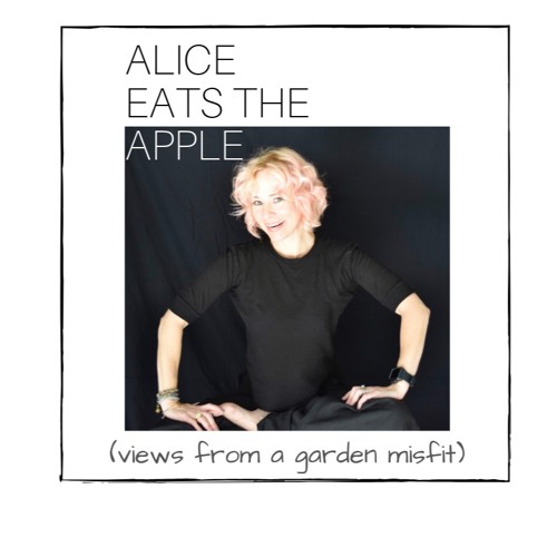 Alice Eats The Apple A JoyRide Show Free Listening On SoundCloud