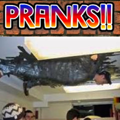 pranksterslyfe7