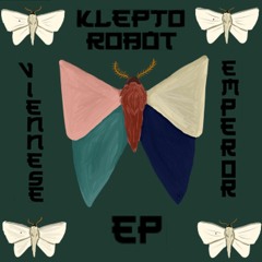 Klepto Robot