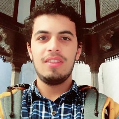 Mohamed Elmekawy