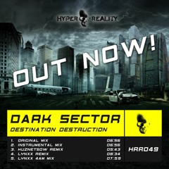 Dark Sector