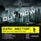 Dark Sector