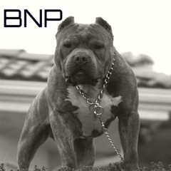 BNP