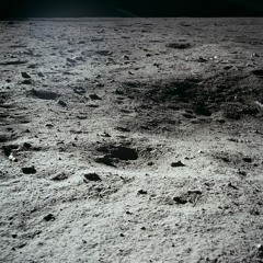 fsavulich