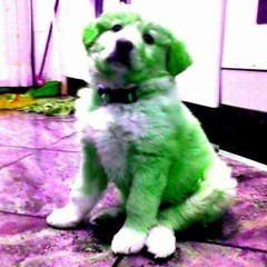 green dog