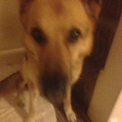 Ciaran Edwards-Flynn