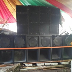 Selector Young Money (SVS)