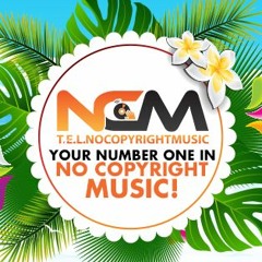 T.E.L. No Copyright Music