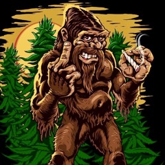 lil $quatch